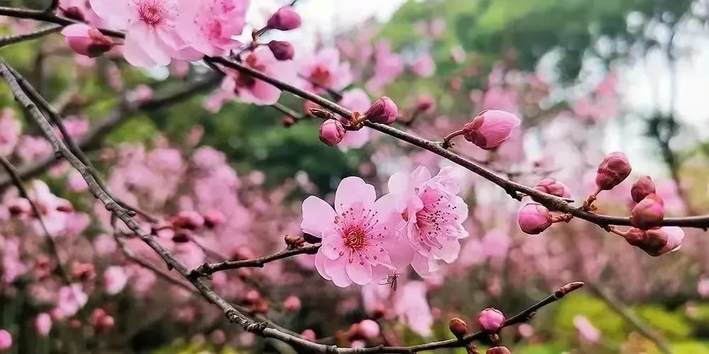 上海女神节福利！我们替你搜罗好了