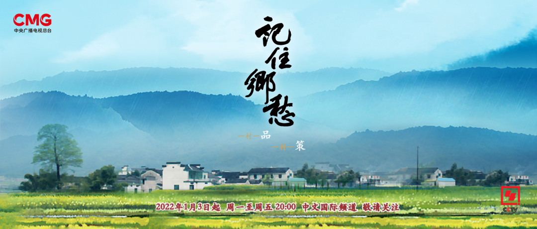 大型纪录片《记住乡愁》乡村振兴系列带你走进花茂村