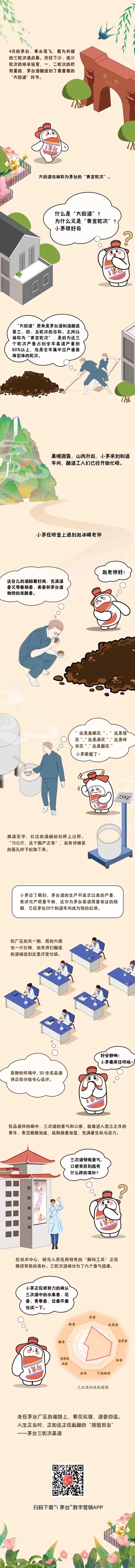 小茅带你去发现 黄金轮次——三轮次酒的生产