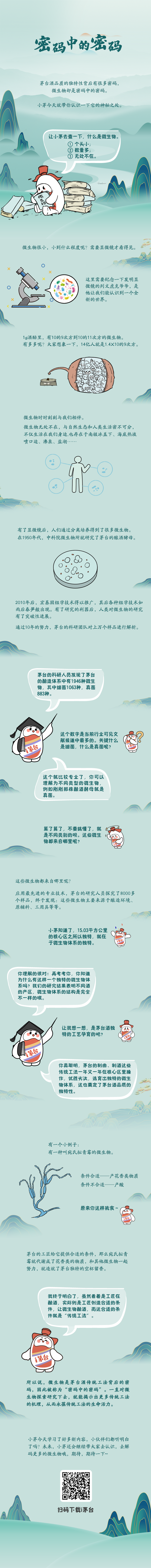 小茅带你去发现——密码中的密码