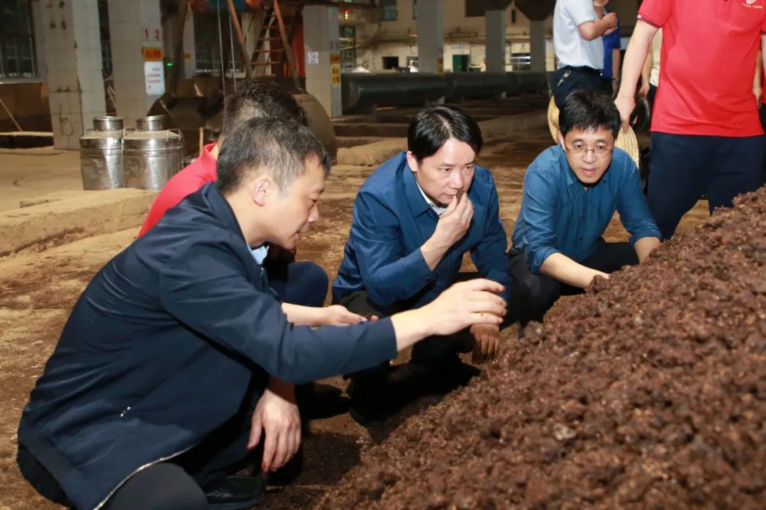 丁雄军率队调研茅台酒四轮次生产