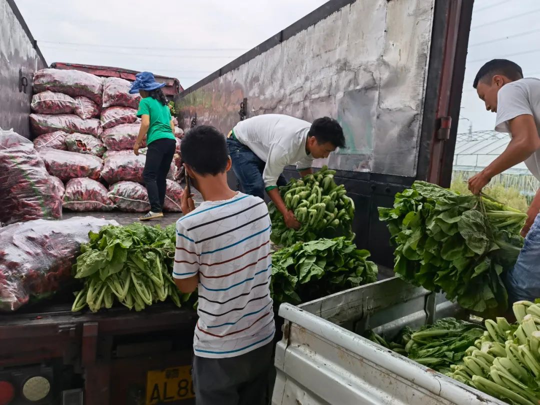 茶企同心 茶香战疫