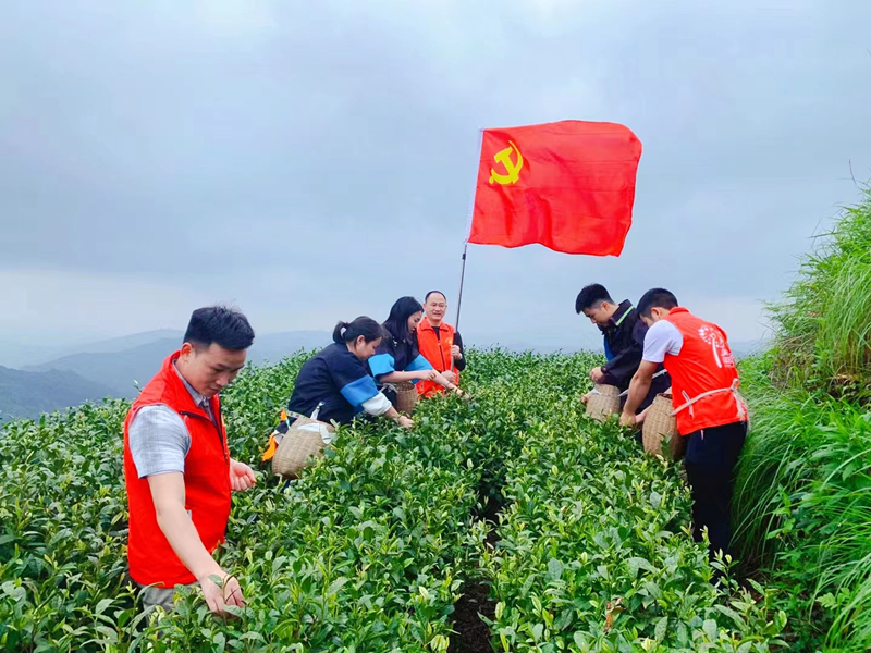 深耕普惠金融 建设和美乡村——邮储银行榕江县支行助力县域经济发展纪实