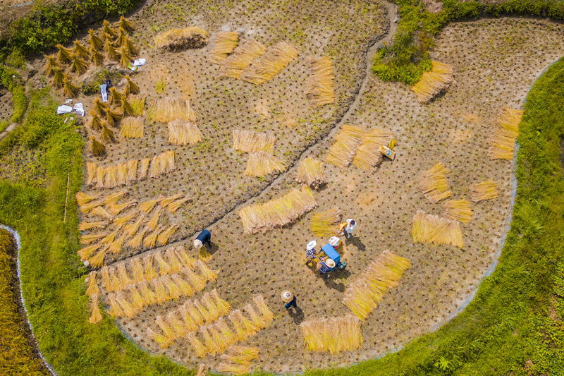 邮储银行黔南州分行：以邮储绿描绘左右江革命老区好“丰”景