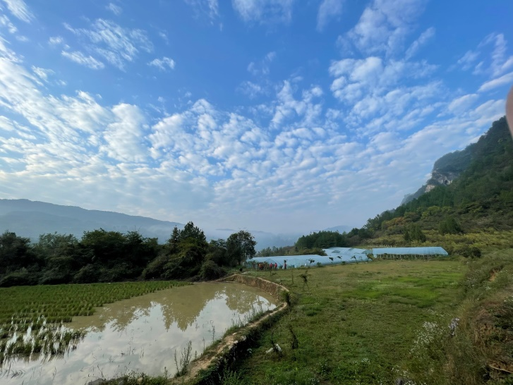 「必胜客扶业计划」施秉火龙果种植专属地块开展首次采摘