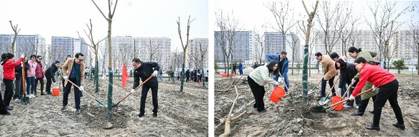 太太乐携手江桥镇共植绿意，积极践行绿色低碳发展理念