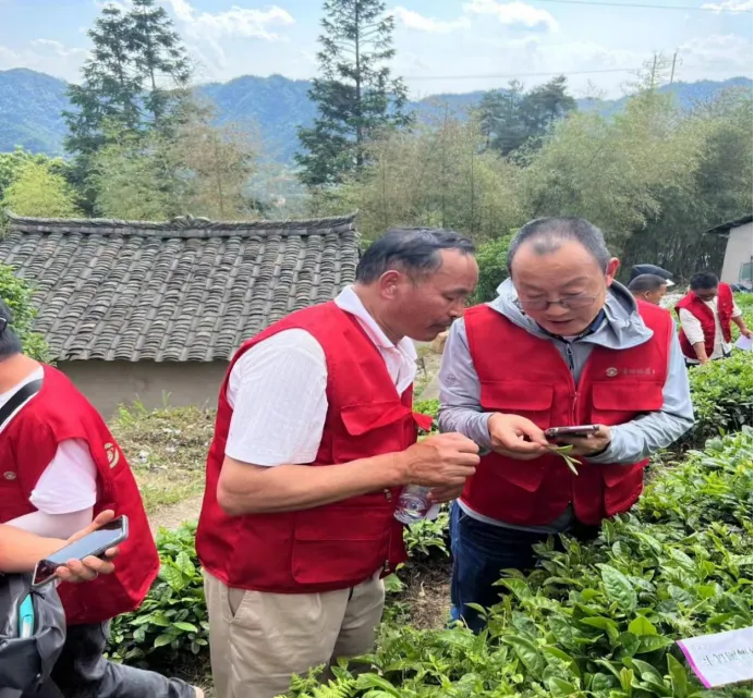 2024年贵州绿茶地理标志农产品保护工程雷山茶园管理田间学校培训在雷山举行