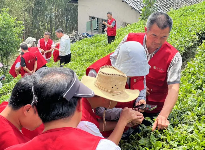 2024年贵州绿茶地理标志农产品保护工程雷山茶园管理田间学校培训在雷山举行