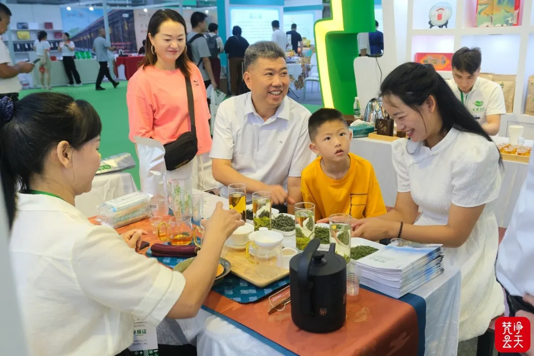 贵州梵净山茶深圳“茶博会”，品质黔茶备受好评