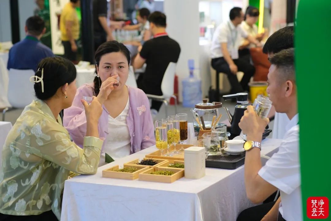 贵州梵净山茶深圳“茶博会”，品质黔茶备受好评