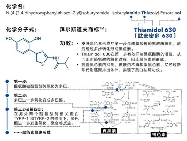 拜尔斯道夫与绿地全球贸易港达成战略合作