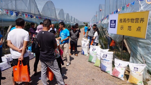 载誉而归 | 雅苒中国荣膺双项大奖