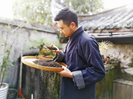 这场茶行业盛会上，25名“贵州绿茶制茶师”受表彰