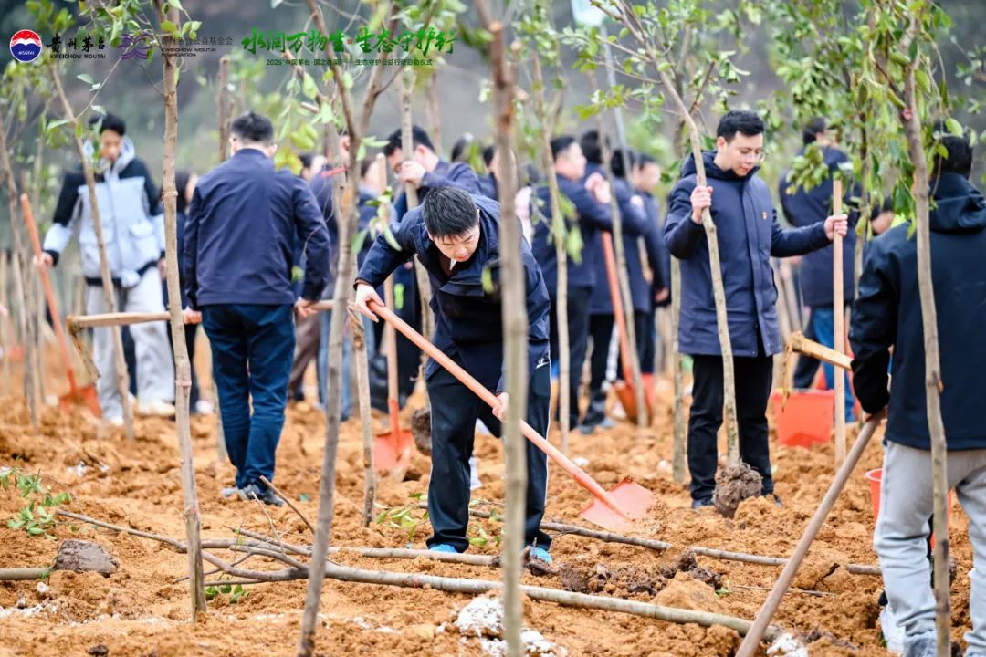 茅台蛇年“首声”，聚焦赤水河背后的发展观与责任观