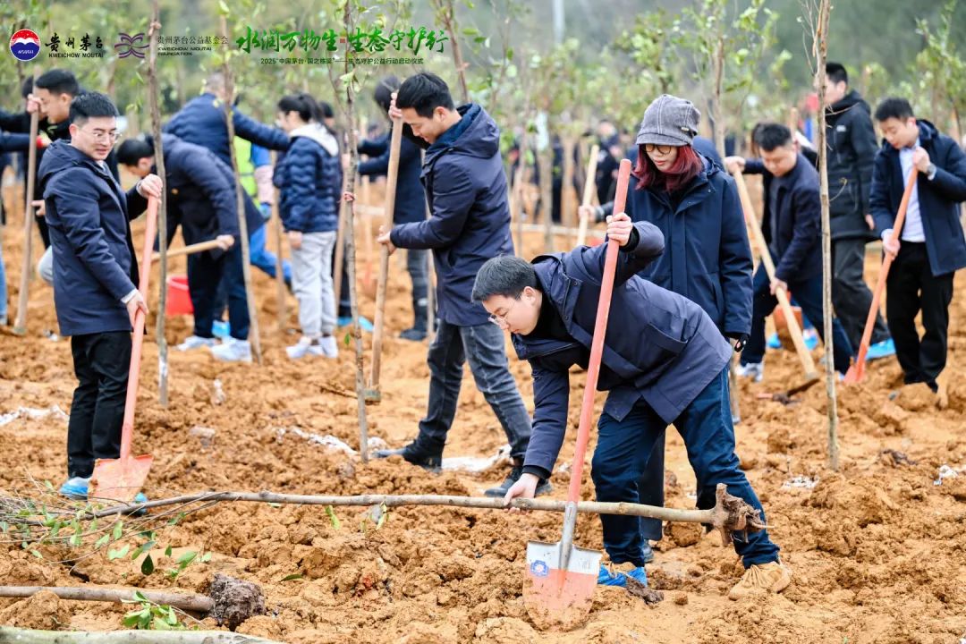 茅台蛇年“首声”，聚焦赤水河背后的发展观与责任观